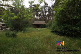 Do wynajęcia działka w Kaczenicach